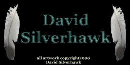david silverhawk logo